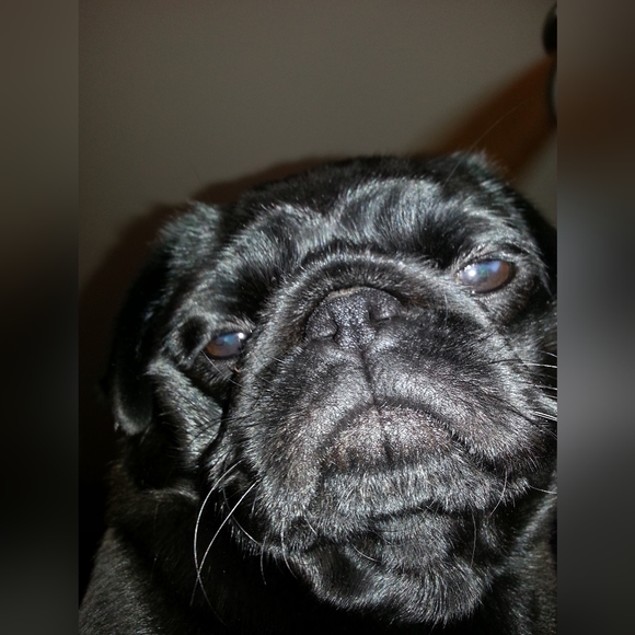 Meet your Posher, Stephanni - Picture 9 of 16